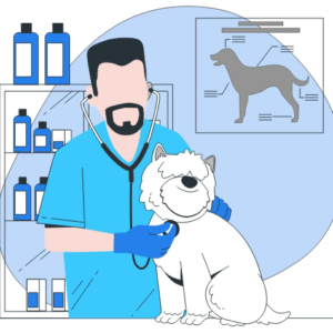 Veterinary Facilities Email List